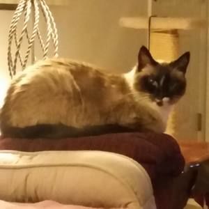 Meet your Posher, Brandy